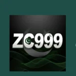 zc999 game